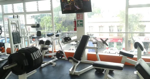 evolution gym center, gimnasio en Miguel Hidalgo, Ciudad de México