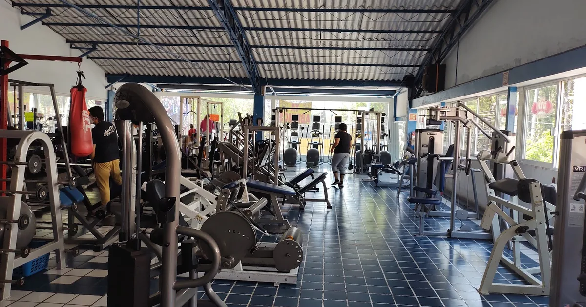 The Gym Silvers