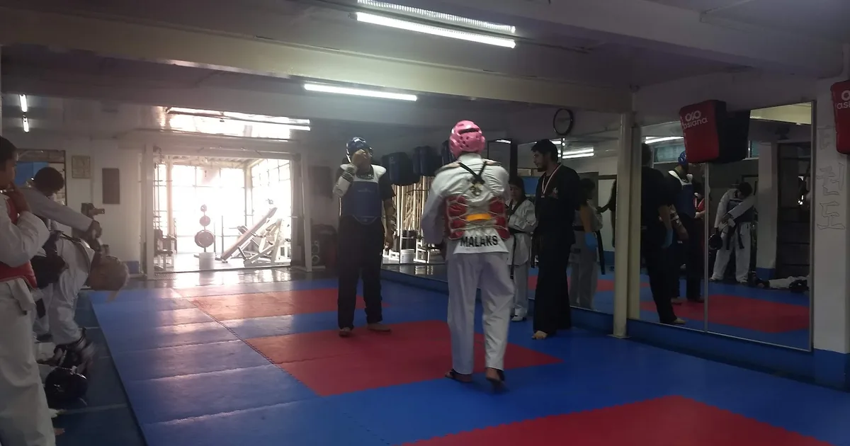 TAURUS GYM
