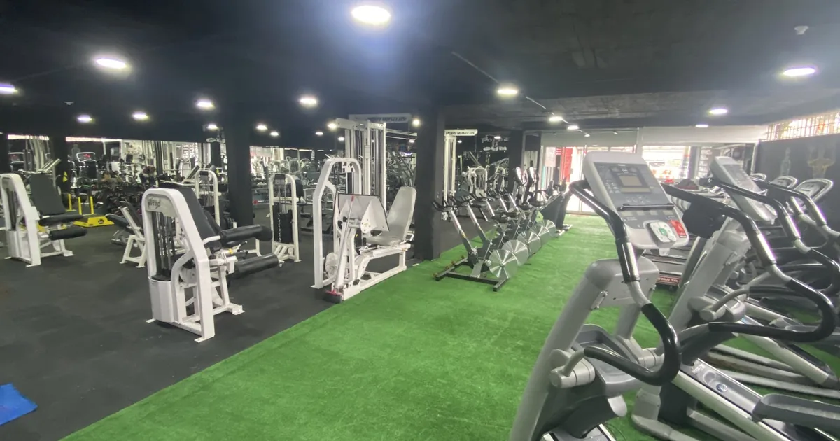 Force Gym