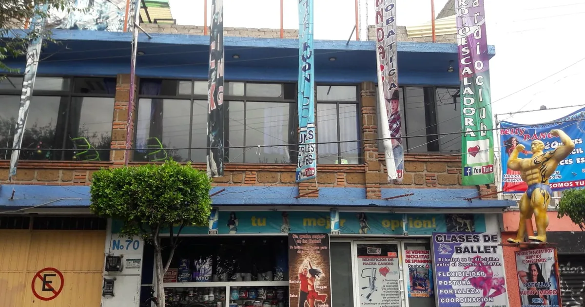 Sport Palace Gym