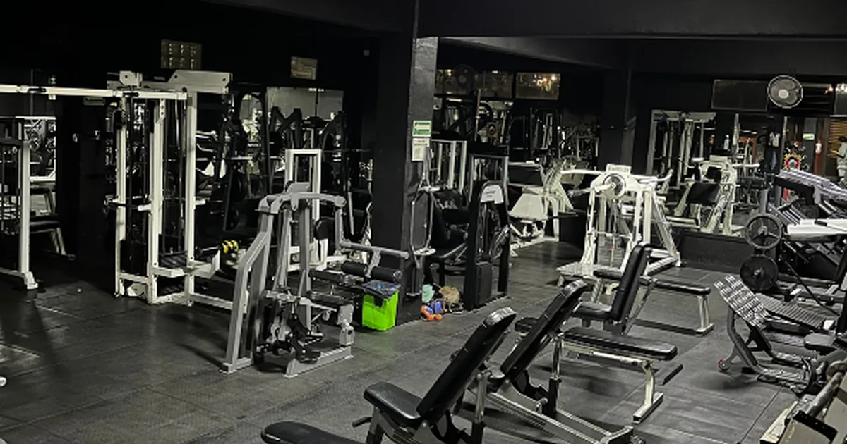 Total gym