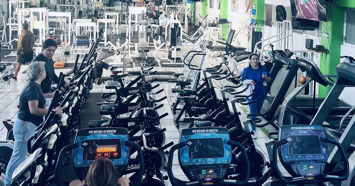 Gerner GYM