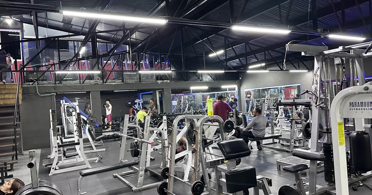 Sport Gym 2’86