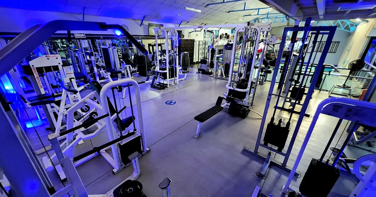 Delfines Gym