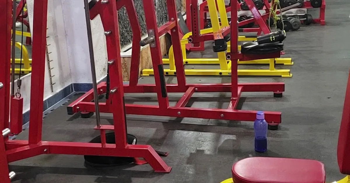 Romanov Gym