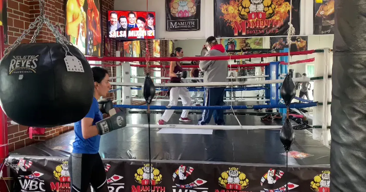 Yonekura Boxing Club