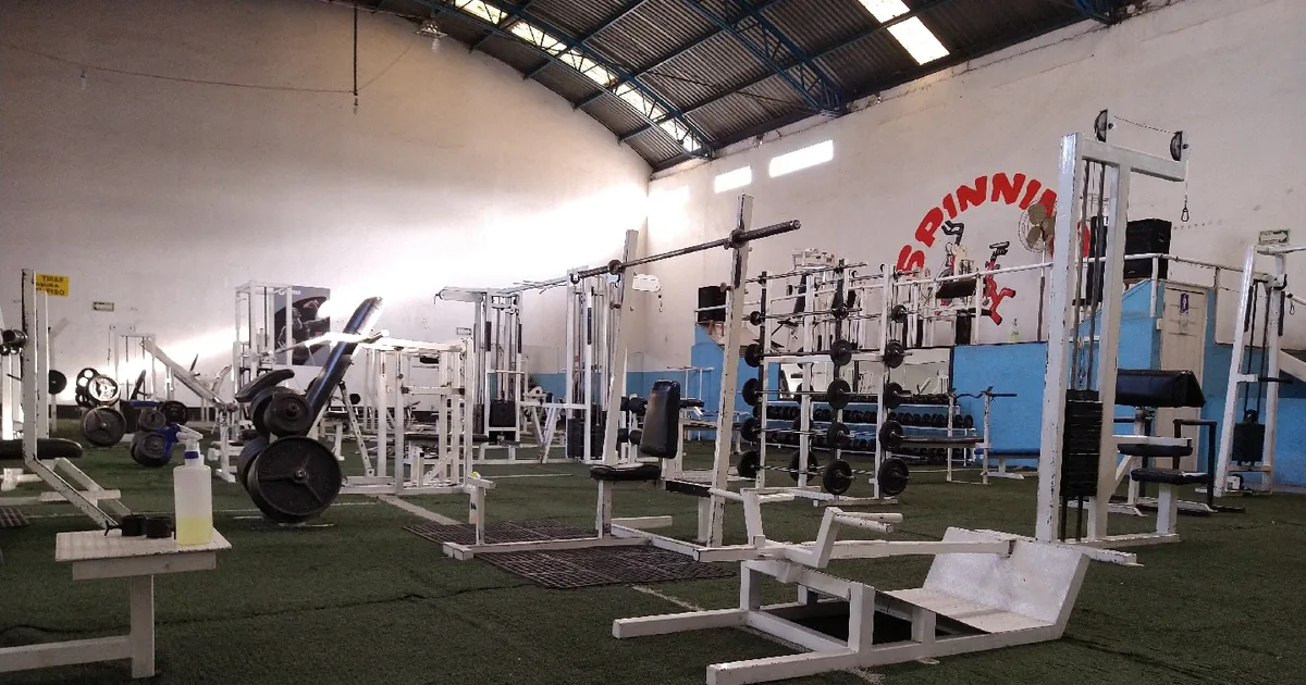 STYLEFIT 8