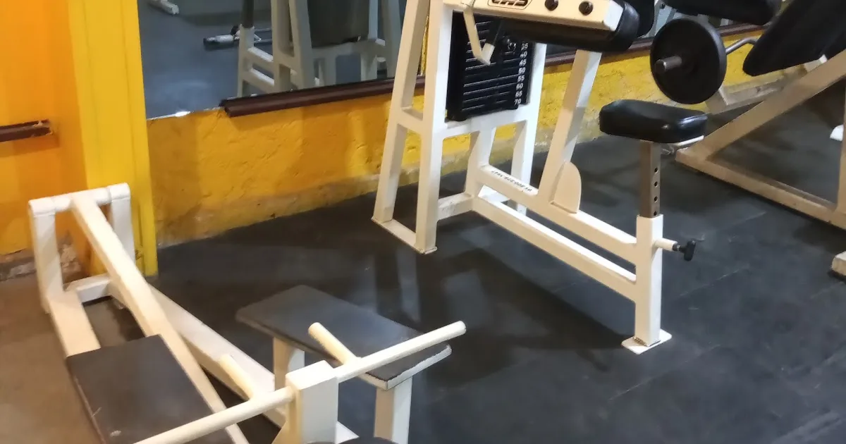 PUNCH GYM