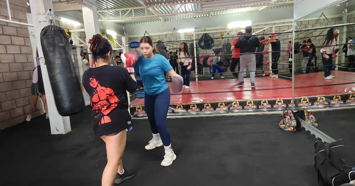 Gimnasio De Box Tigrillo