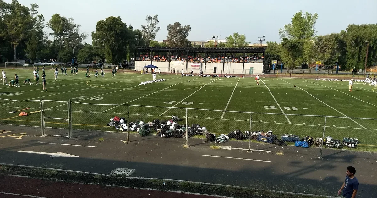 Deportivo Venustiano Carranza