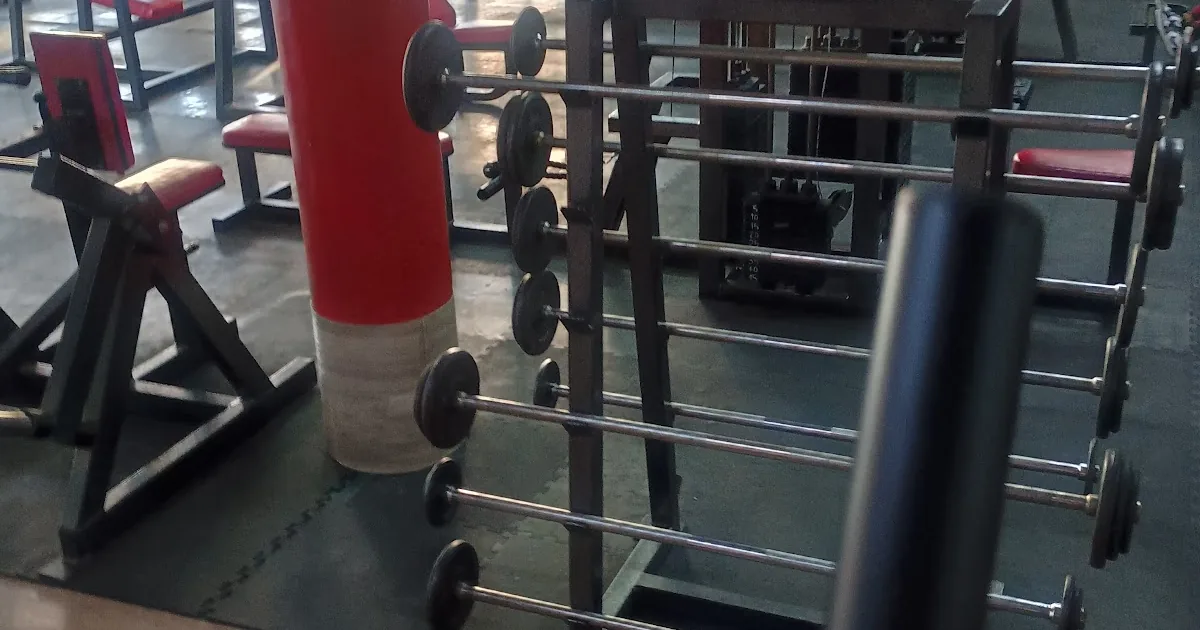 Tifon Sport Gym