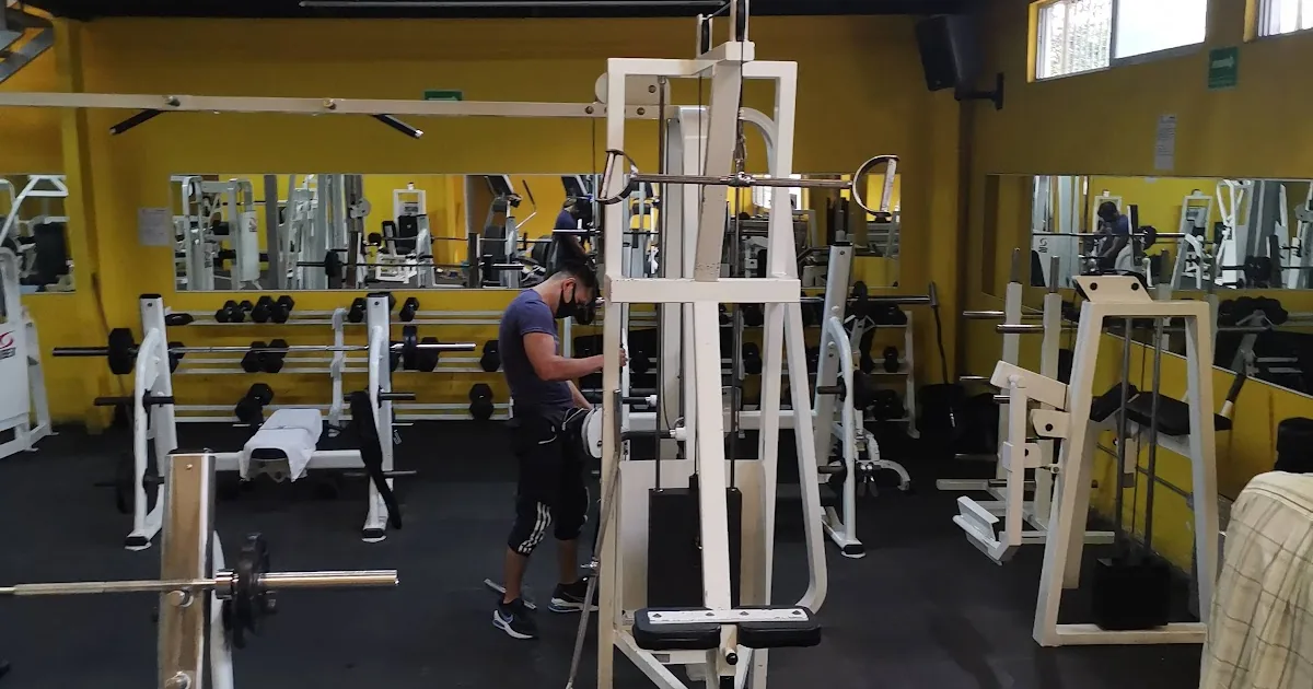 Haro Gym Morelos