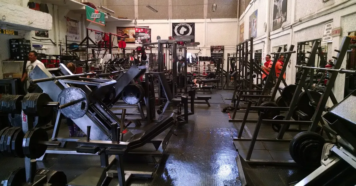 MASTINES GYM