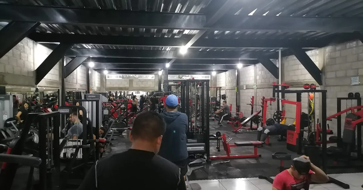 Exporflex gym