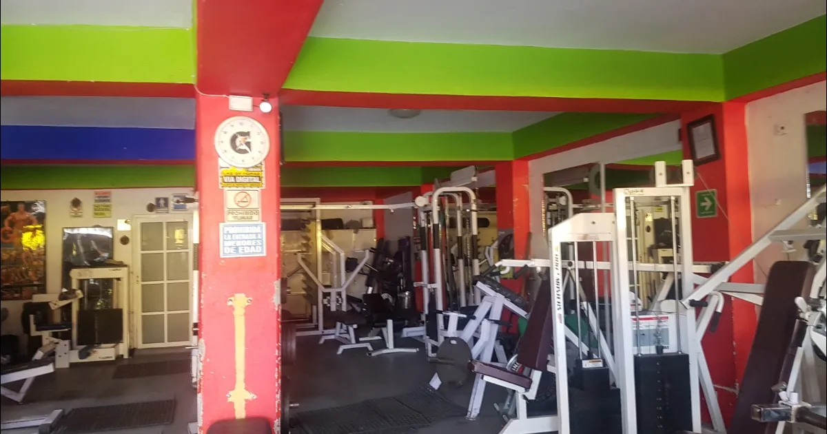 Gym Escorpions