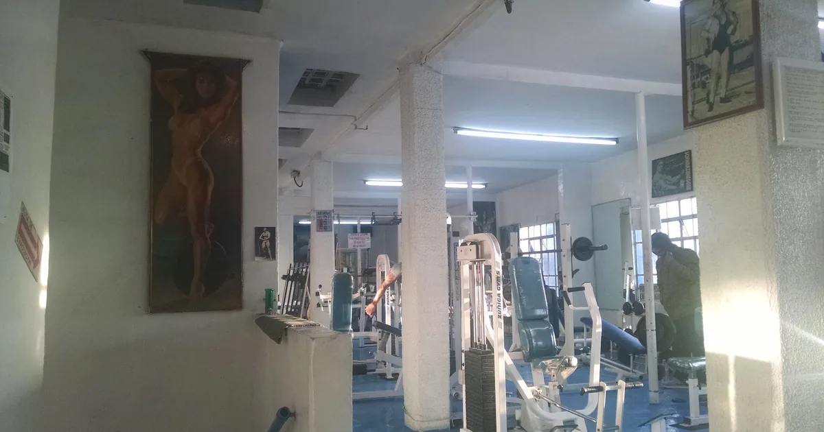 Gimnasio