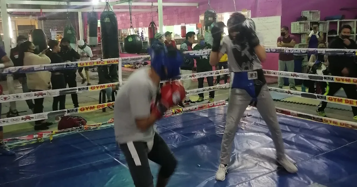 Gimnasio Los recios de la merced
