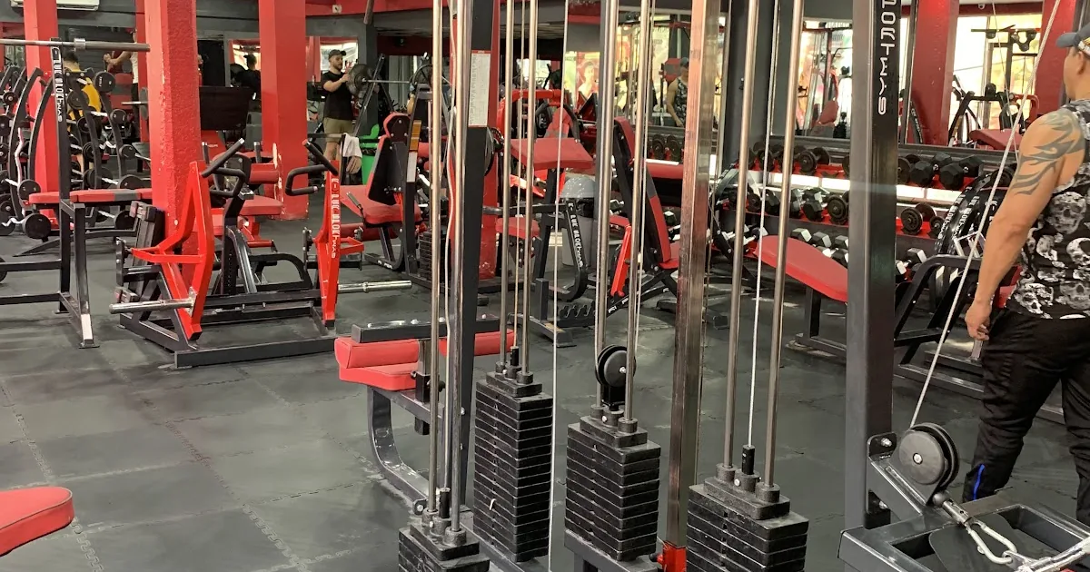 Gym Mom Rose CDMX