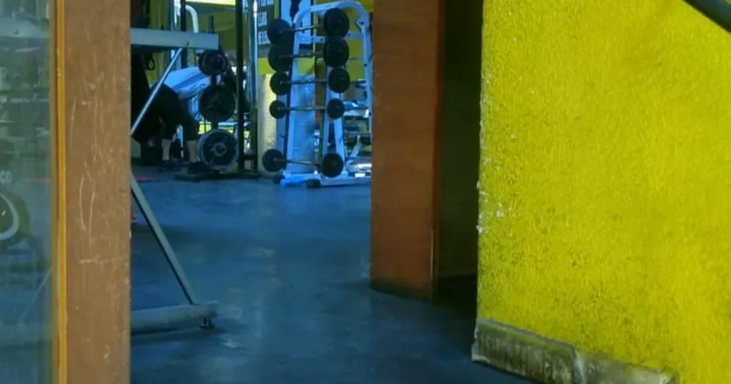 Gimnasio New Body