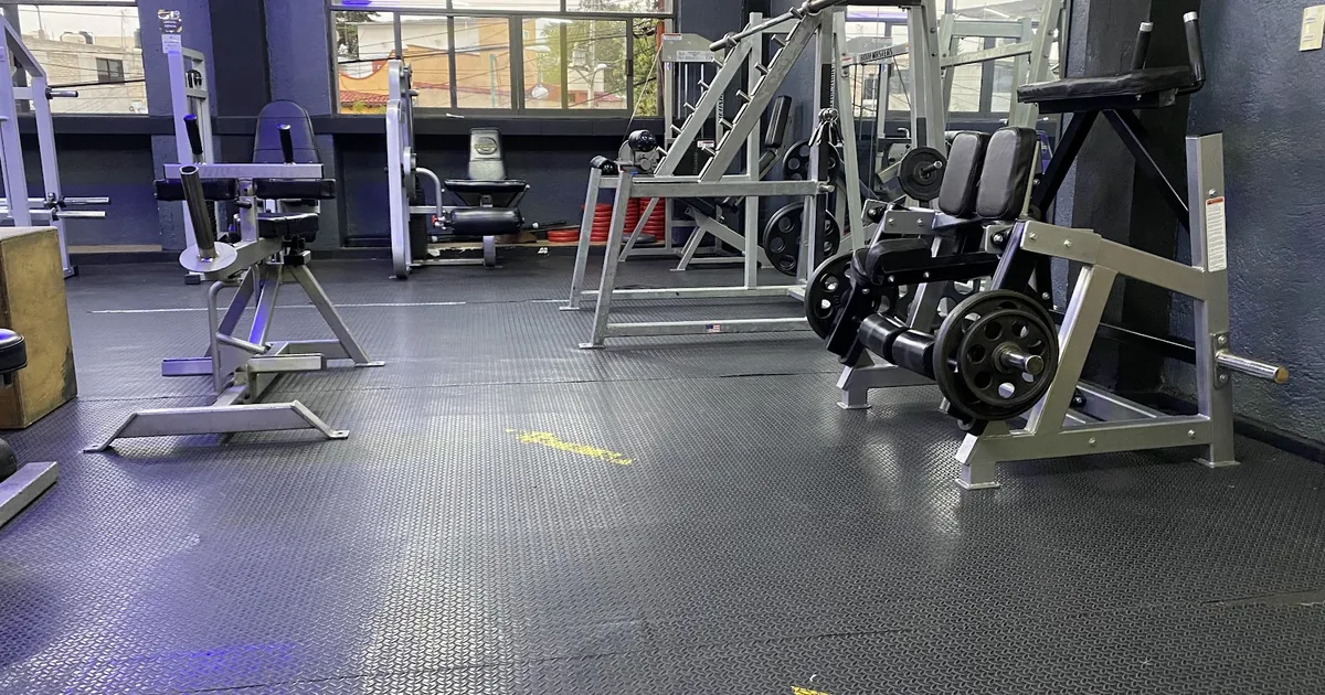 GYM HYSTERICAL