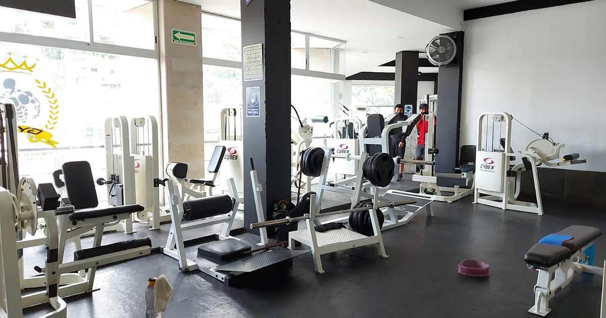 GYM 7 SAN GREGORIO