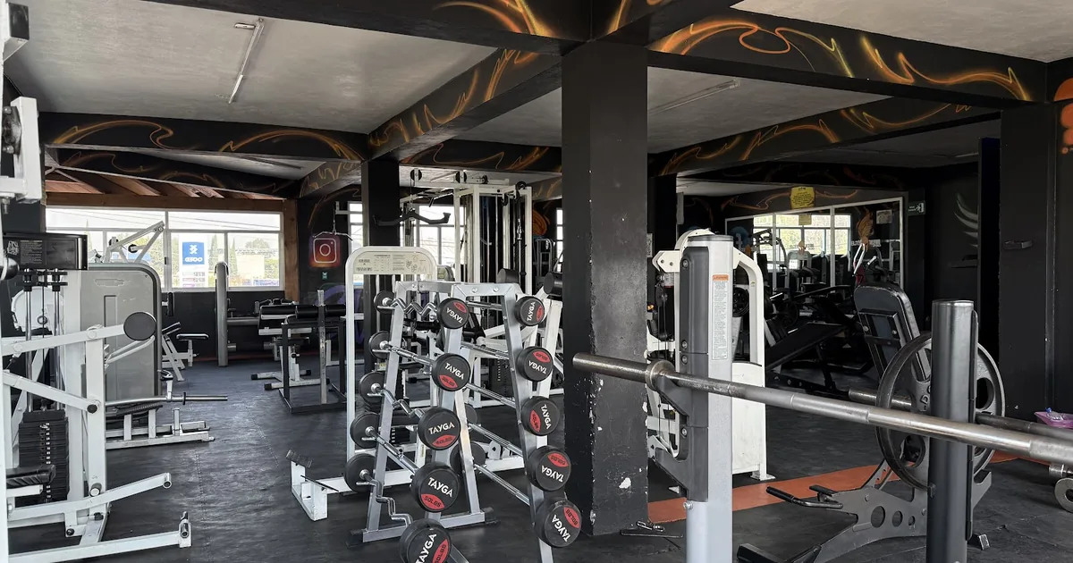 GYM ELITE TEAM PRO TUYEHUALCO