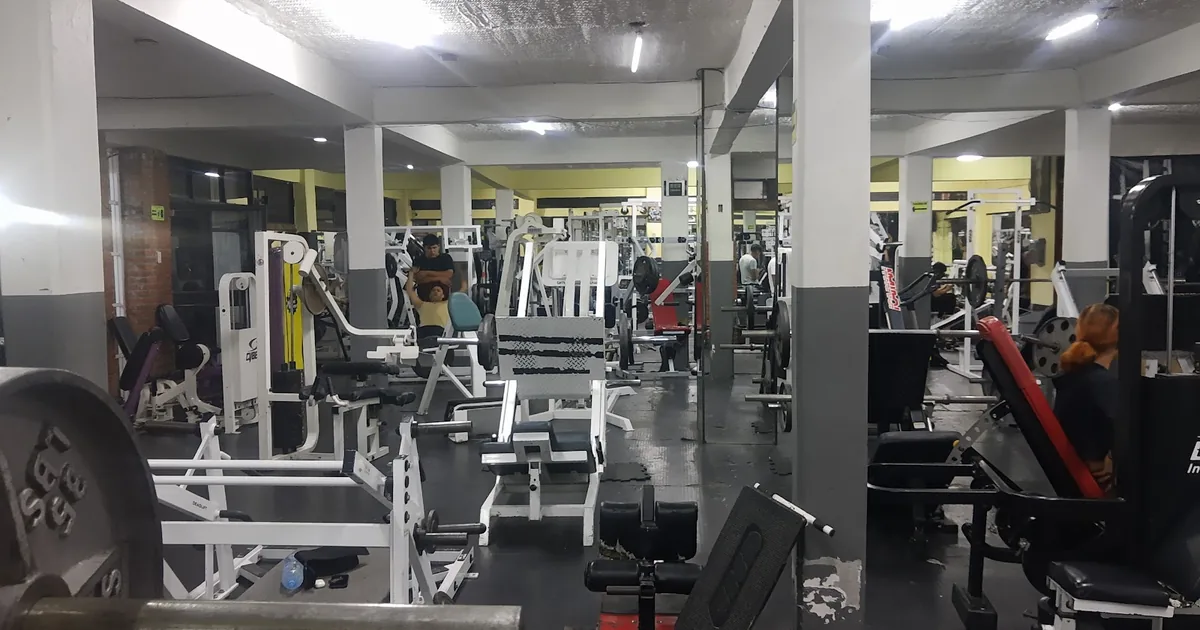Gym-Max