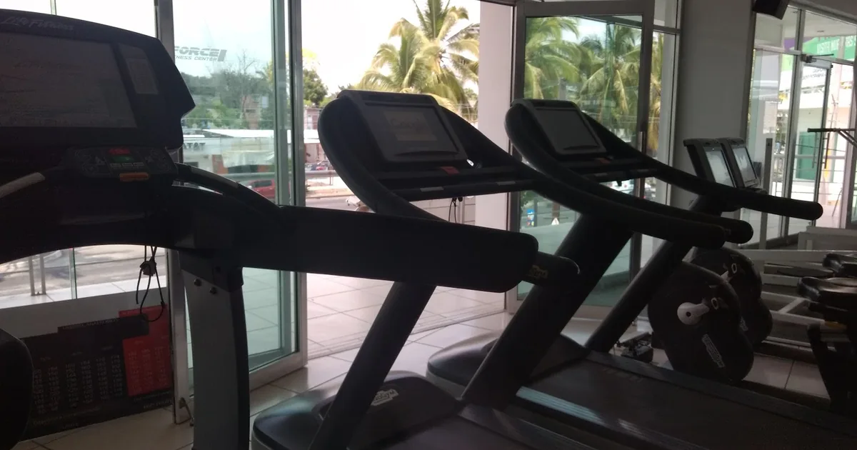 Lionforce Gym