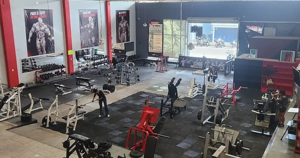 NLC GYM