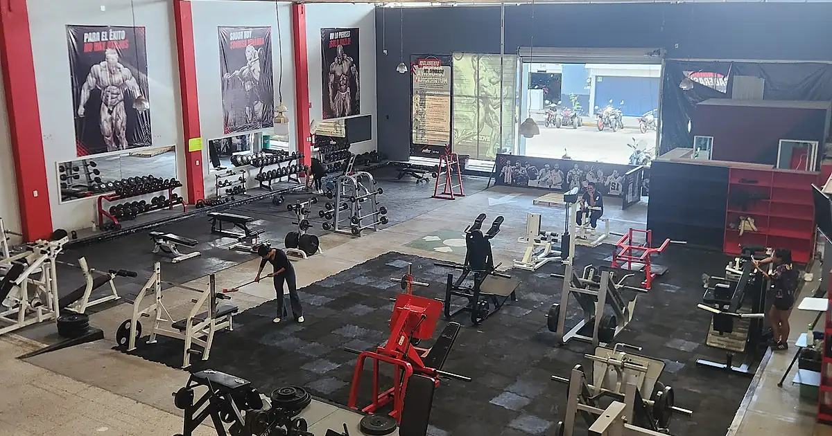 NLC GYM
