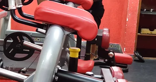 Borregos Gym, gimnasio en Guanajuato, Guanajuato