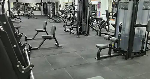 Zentauruz Gym Guanajuato, gimnasio en Guanajuato, Guanajuato