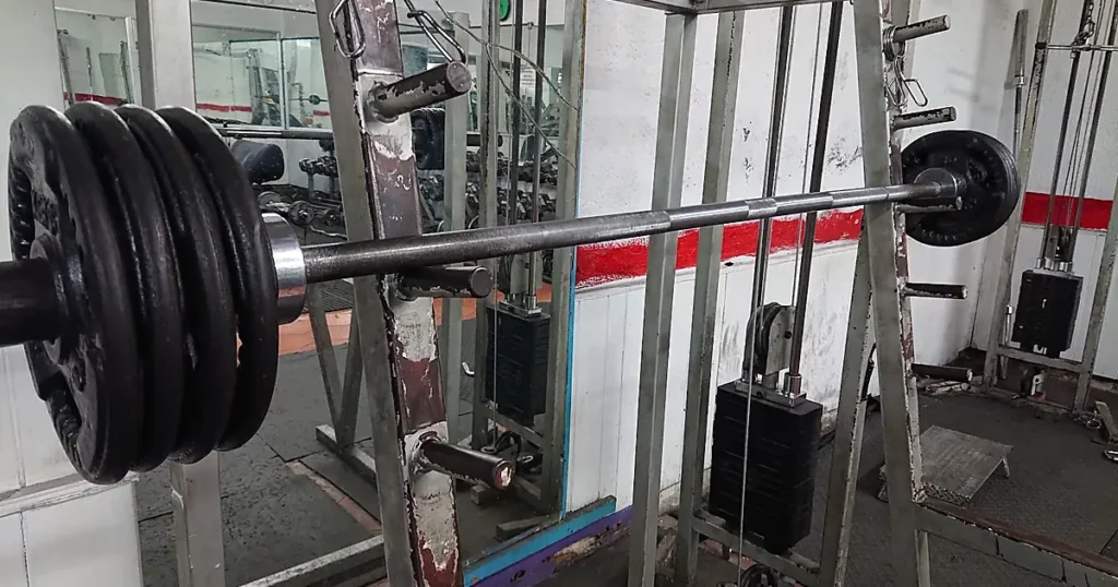 Zippy Sport Gym