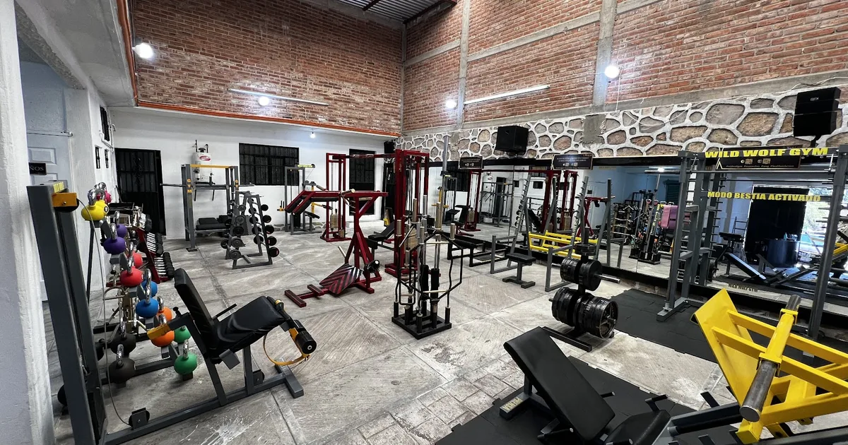 Wild Wolf Gym