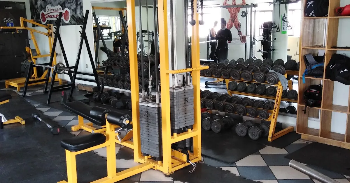 Apocalipsys Gym