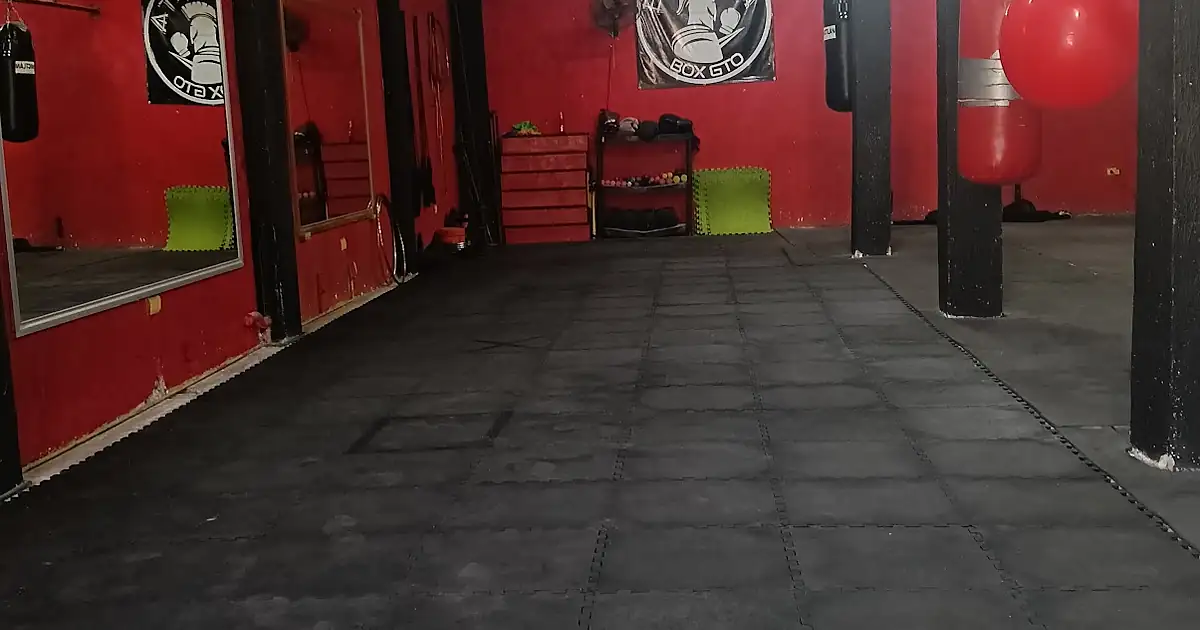 Esparta Box gto