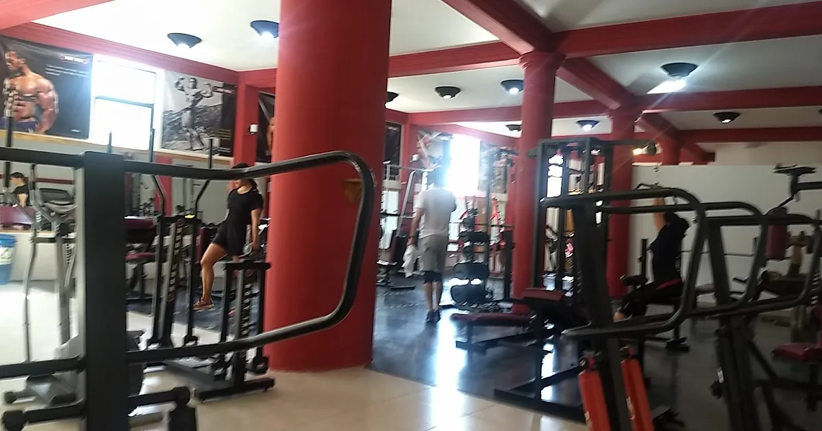 Arnold Gym