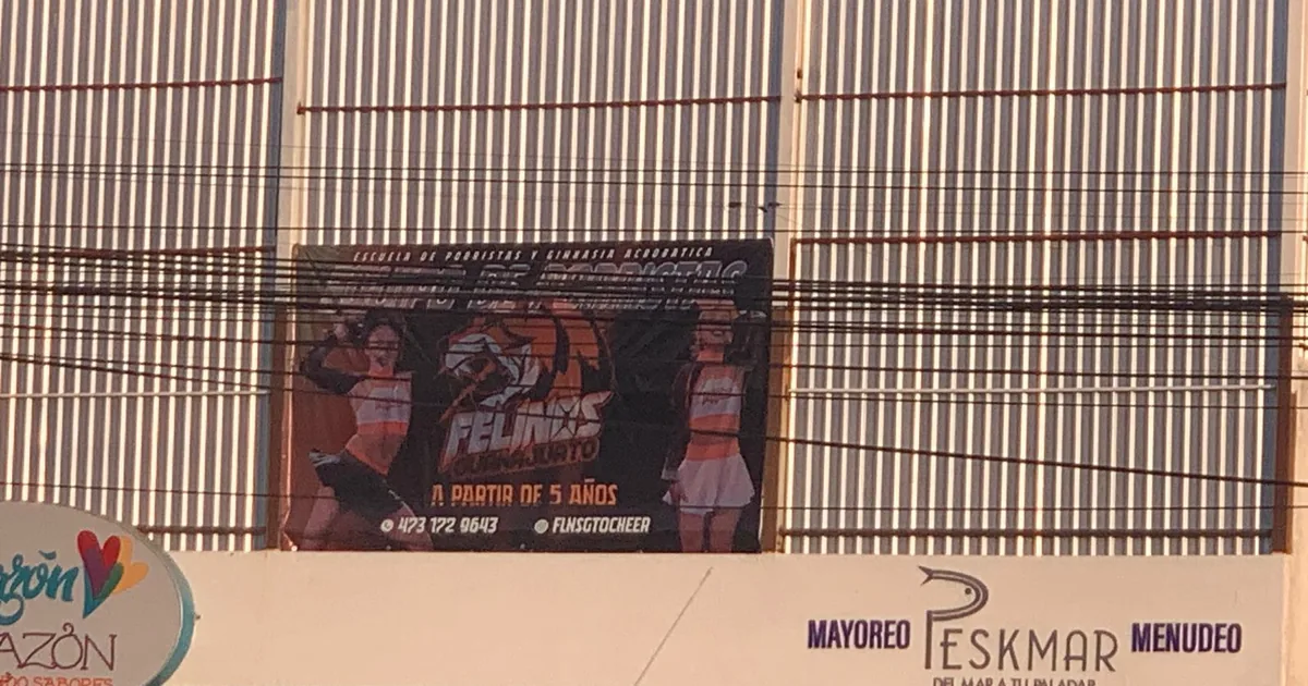 FELINOS escuela de porristas