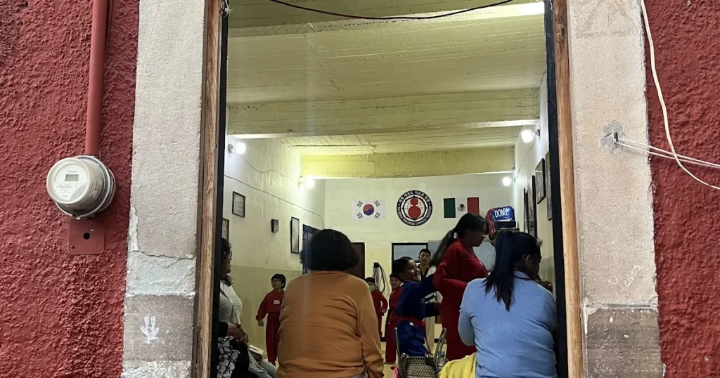 ACADEMIA LOBOS ACONDICIONAMIENTO FISICO Y TAEKWONDO