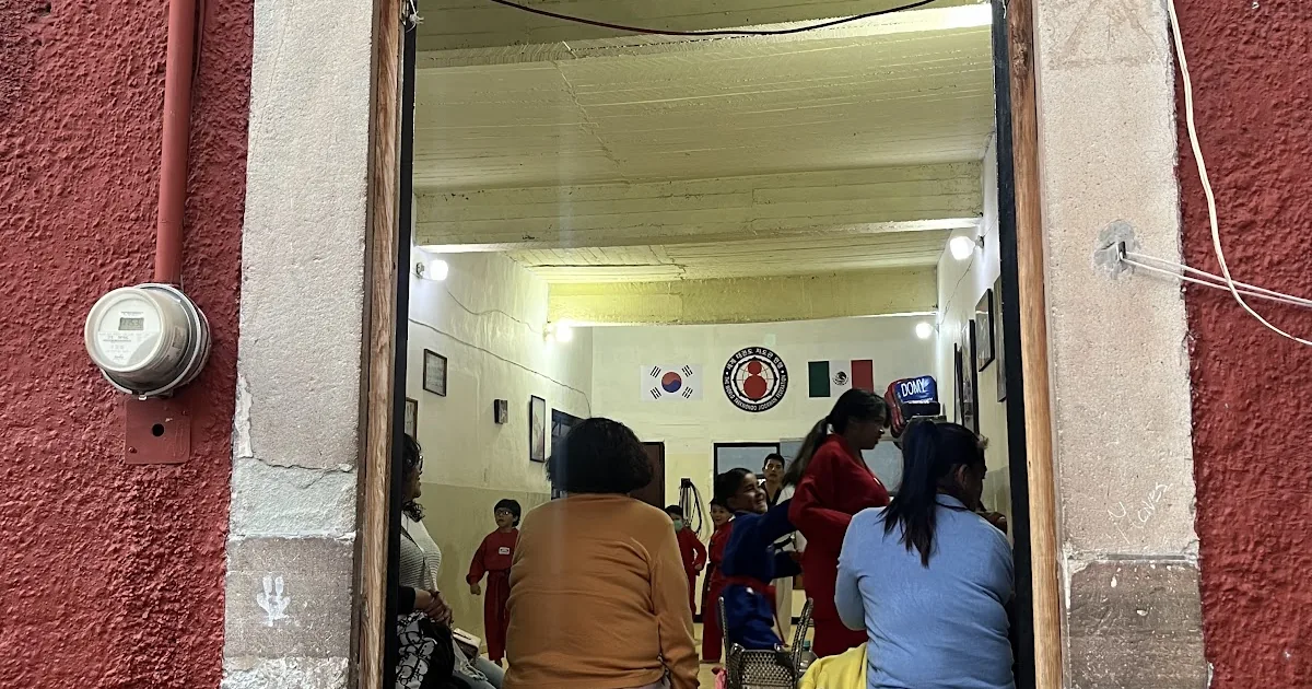 ACADEMIA LOBOS ACONDICIONAMIENTO FISICO Y TAEKWONDO