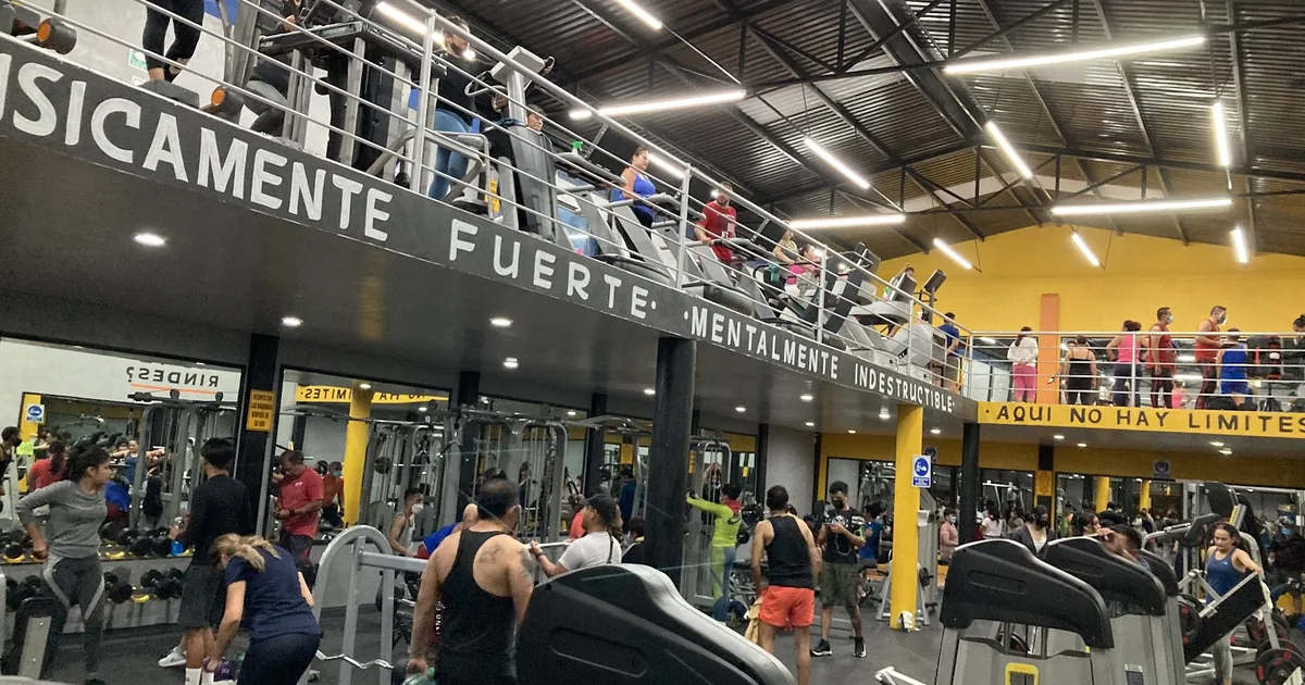 Fox Gym Irapuato