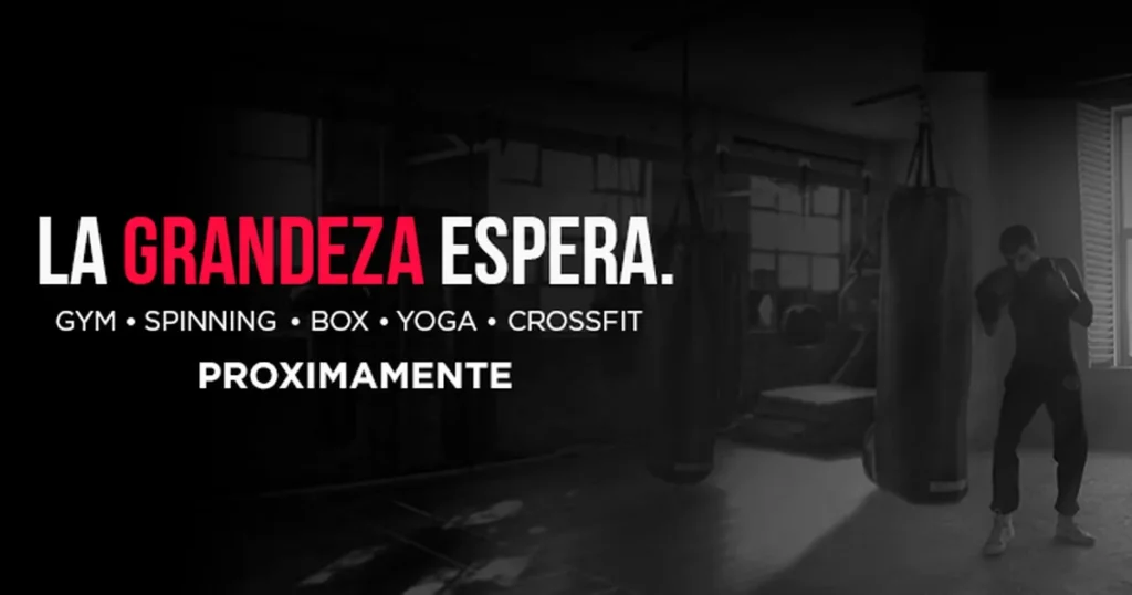 The Bronx. Training Studio