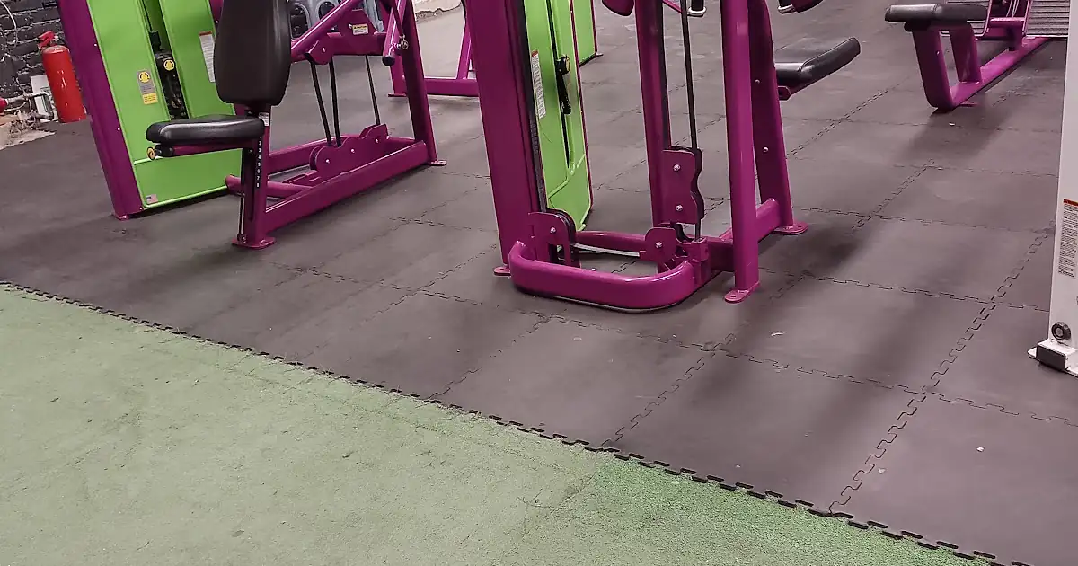 Muscle Factory Irapuato