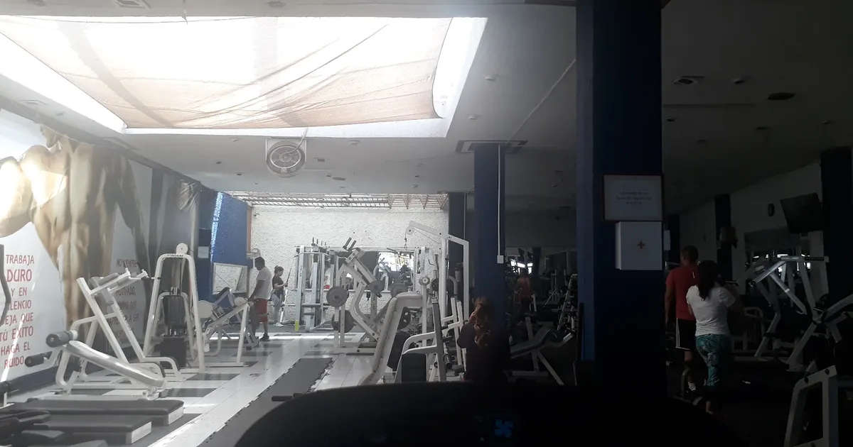 vive fit irapuato gym