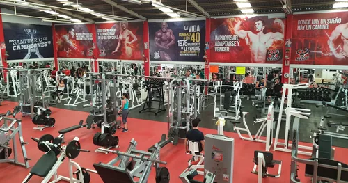 BEEST Gym & Fitness León, gimnasio en León, Guanajuato