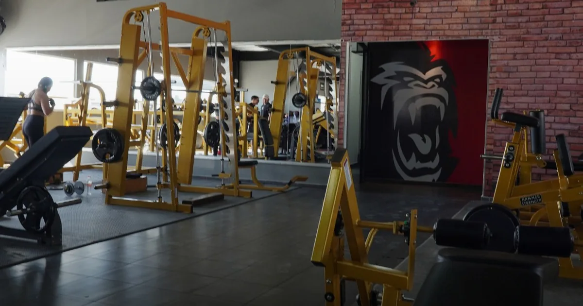 Work Up Gym