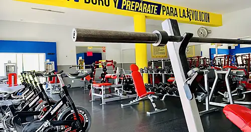 Evolution Muscle Gym, gimnasio en León, Guanajuato