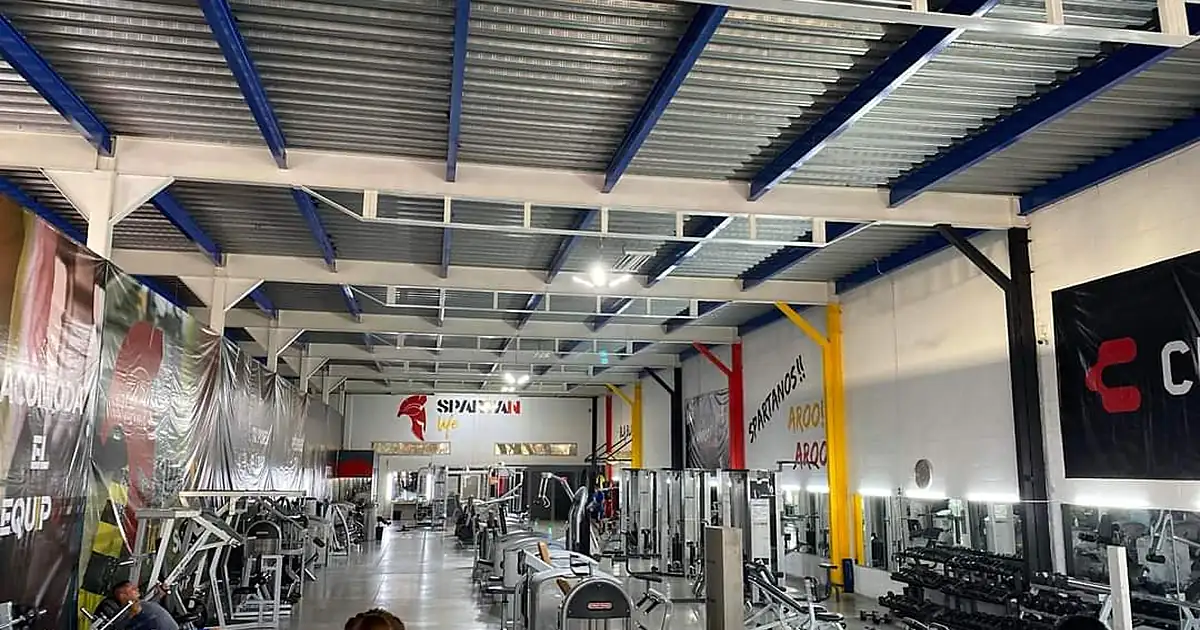 Spartan Life Murales