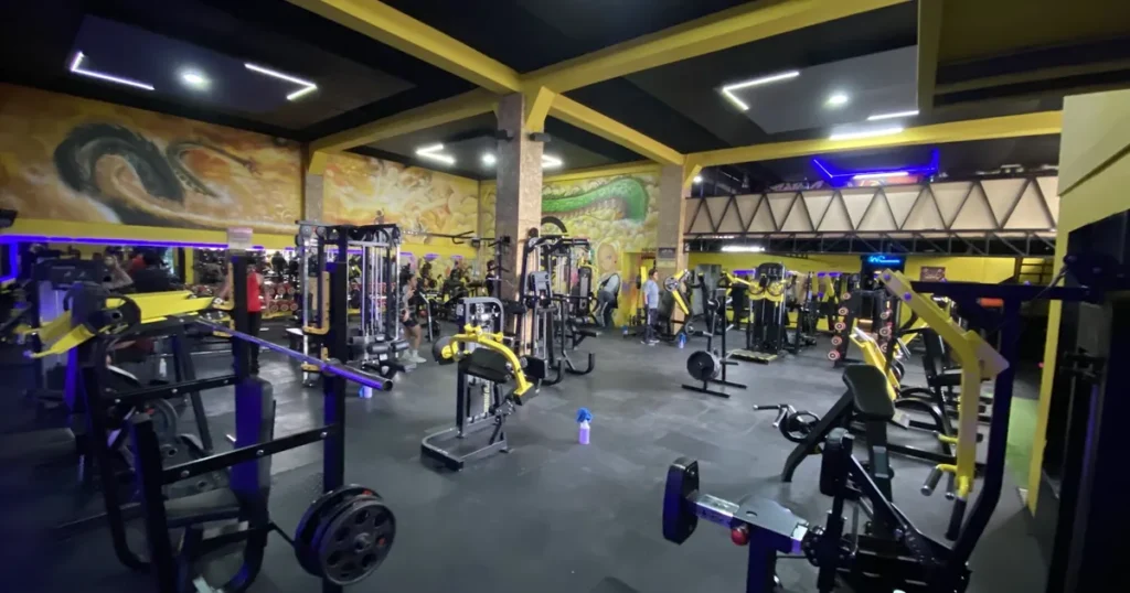Gimnasio Live Fit Castillos